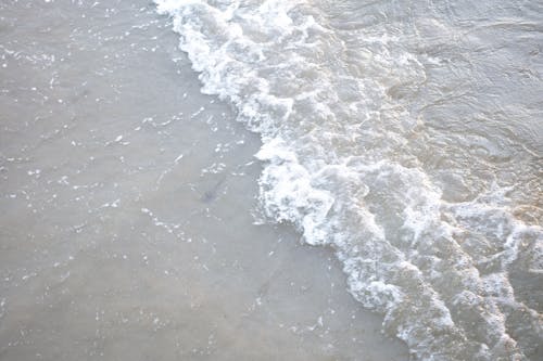 Darmowe zdjęcie z galerii z brzeg plaży, duże fale, dźwięk fal