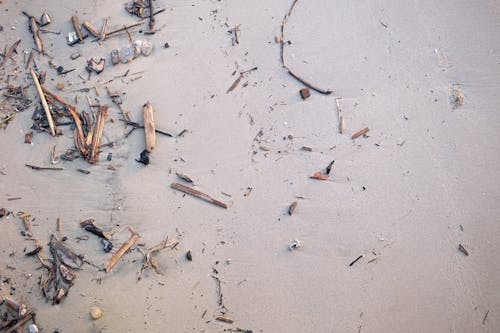 Darmowe zdjęcie z galerii z brzeg plaży, duże fale, dźwięk fal