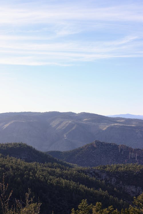 垂直ショット, 山岳, 木の無料の写真素材