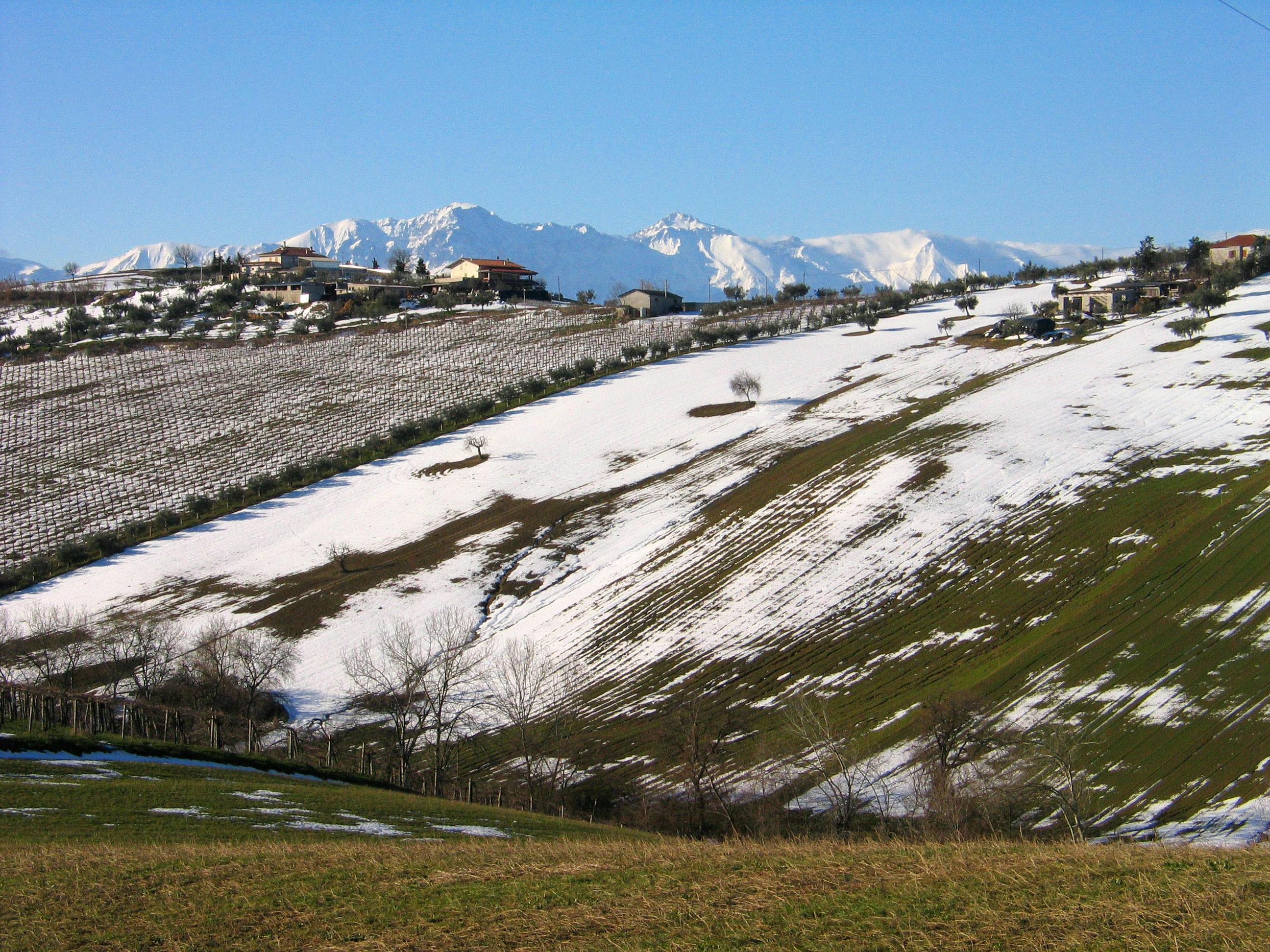 a snowy hillside with a mountain in the background