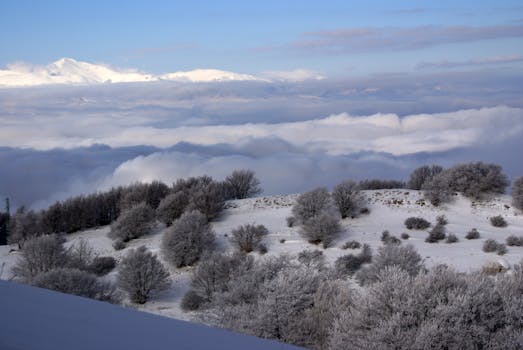 Captivating snowy mountain scene with clouds and trees at dawn, perfect for winter landscapes.