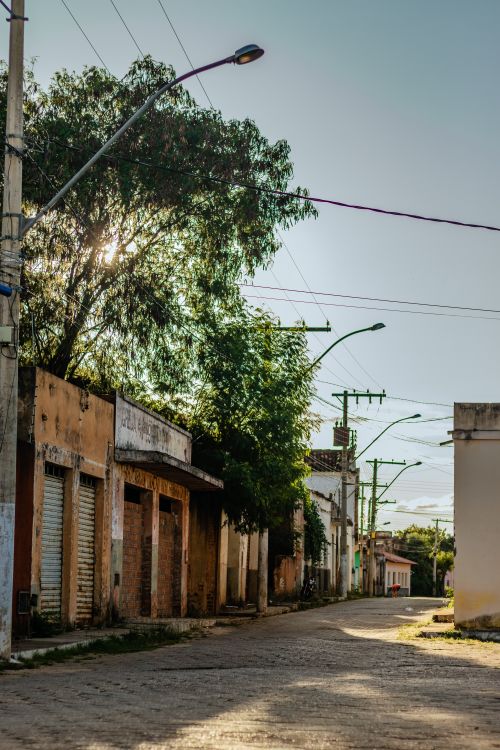 Free Sunlit empty street with rustic buildings and lush trees on a clear day. Stock Photo