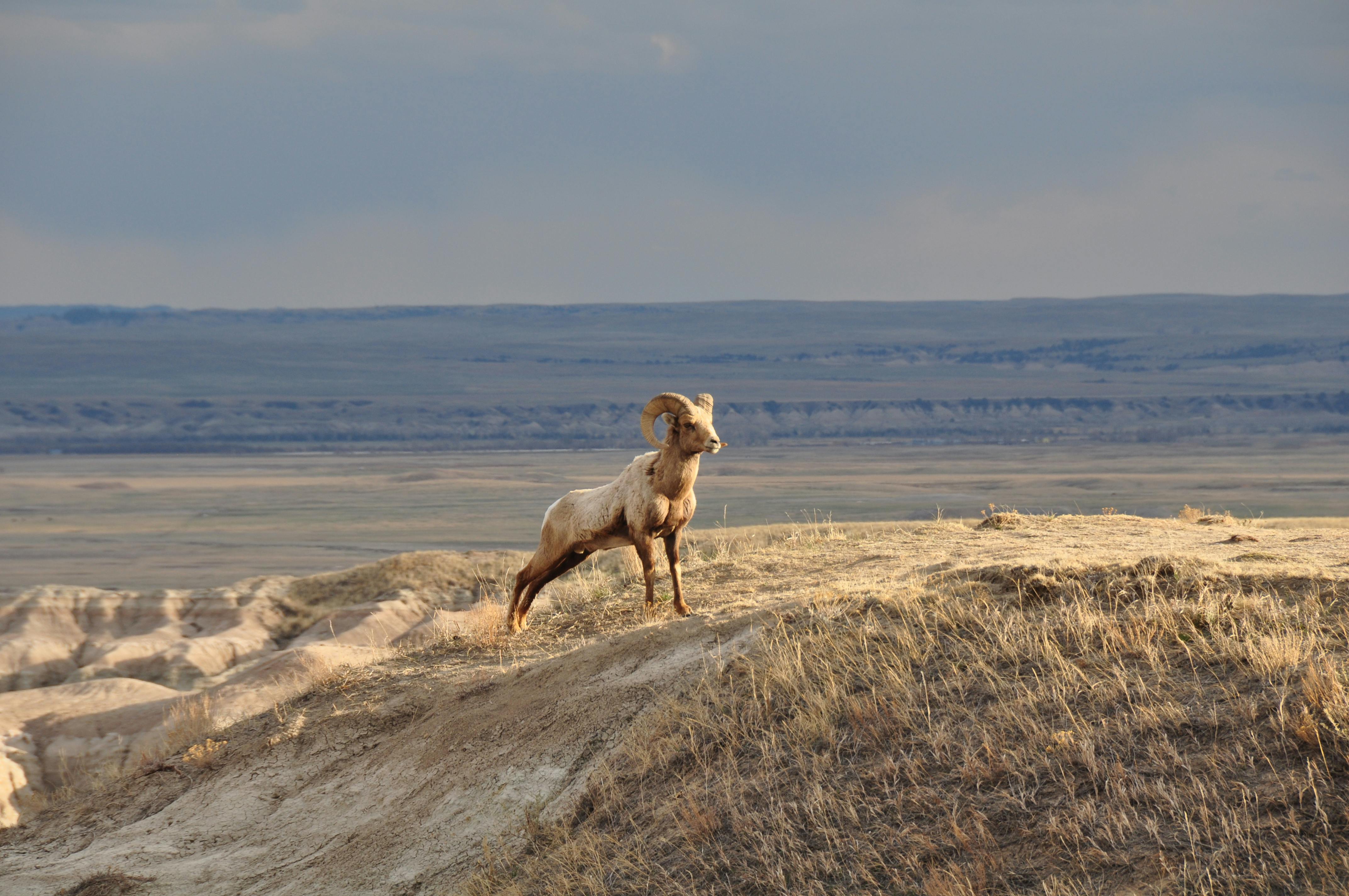 Big Horn Outdoor Adventure Show returns to Spokane — Photo by Tom Fournier on Pexels