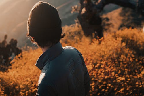 Back View of a Person on a Field at Sunset 