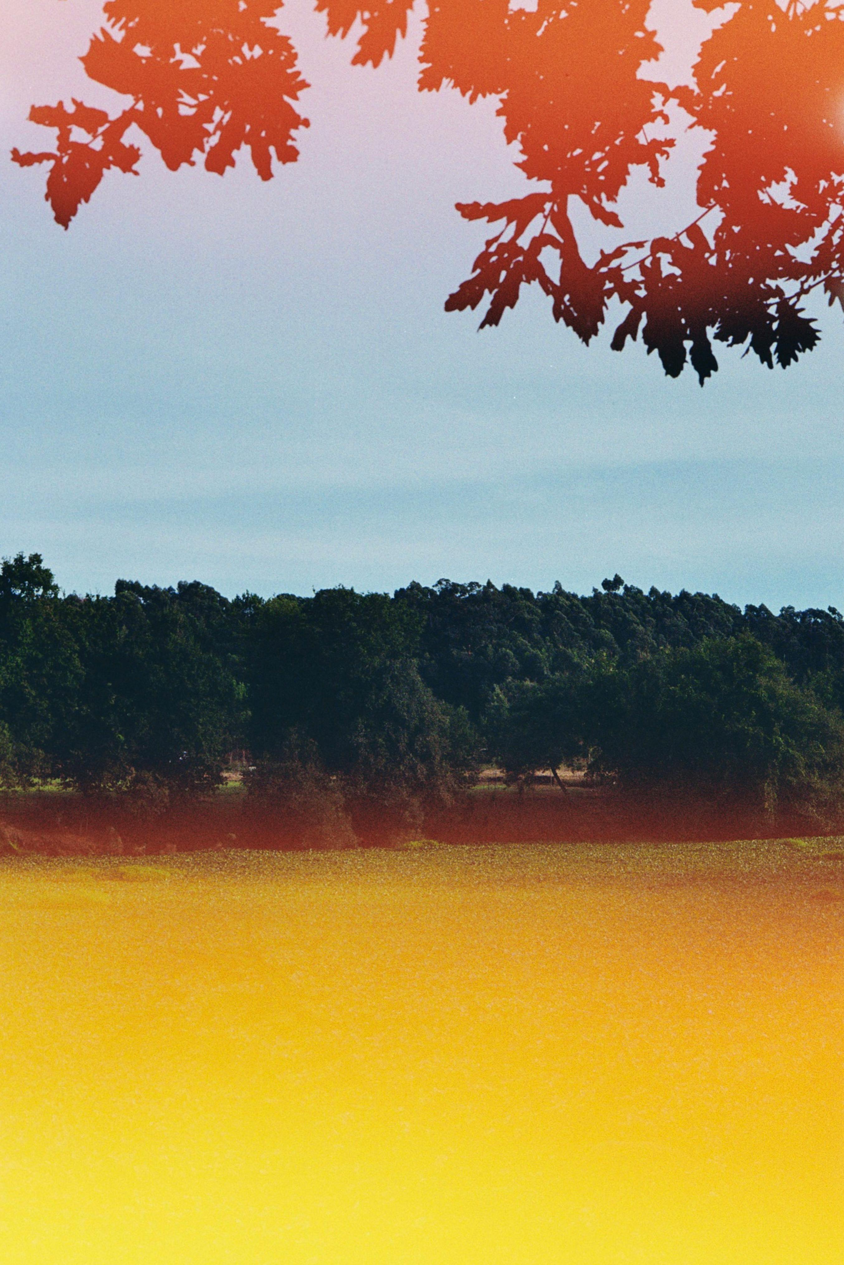 A scenic outdoor landscape captured with light leaks, trees, and an artistic film-style aesthetic.