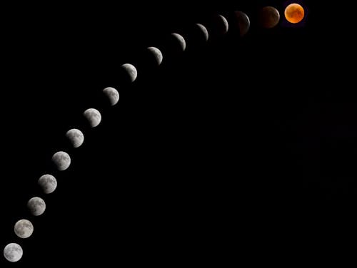 Free stock photo of blood moon, desert, eclipse