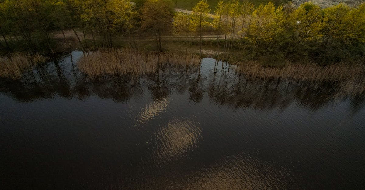 Ripples on Lake · Free Stock Photo