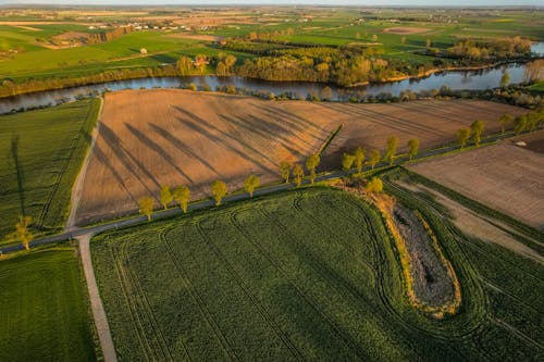 Gratis lagerfoto af baner, droneoptagelse, høj vinkel visning