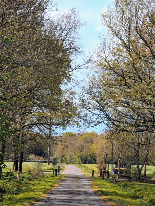 Free Tranquil country trail lined with trees and lush greenery in early springtime. Stock Photo