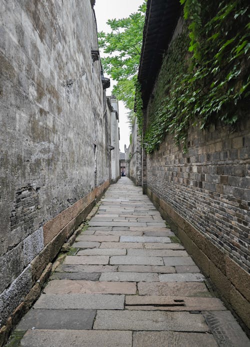 A Narrow Alley between Stone Walls 