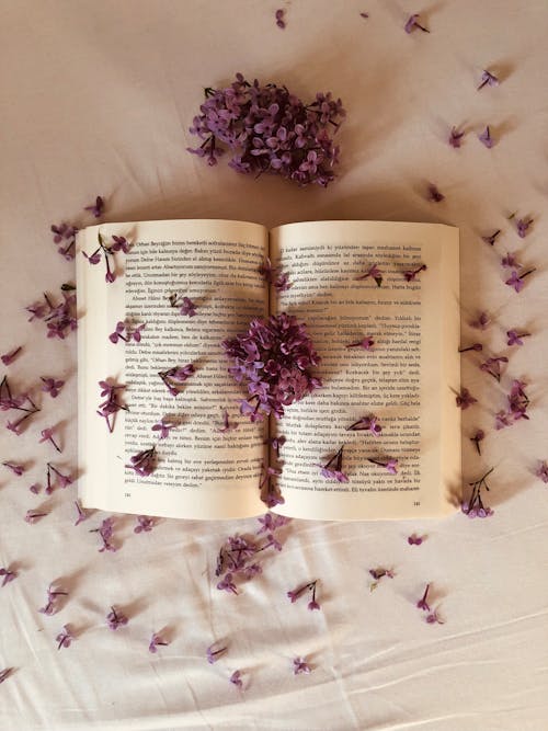 Purple Flowers Scattered on and around the Book