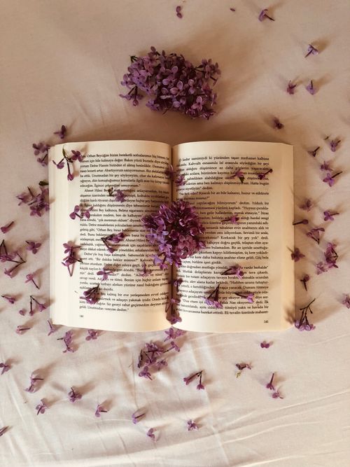 Free Aesthetic composition of an open book adorned with delicate purple flowers on a white cloth. Stock Photo
