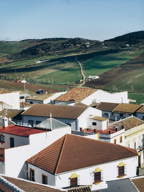 Kostnadsfri bild av andalusien, äng, aroche