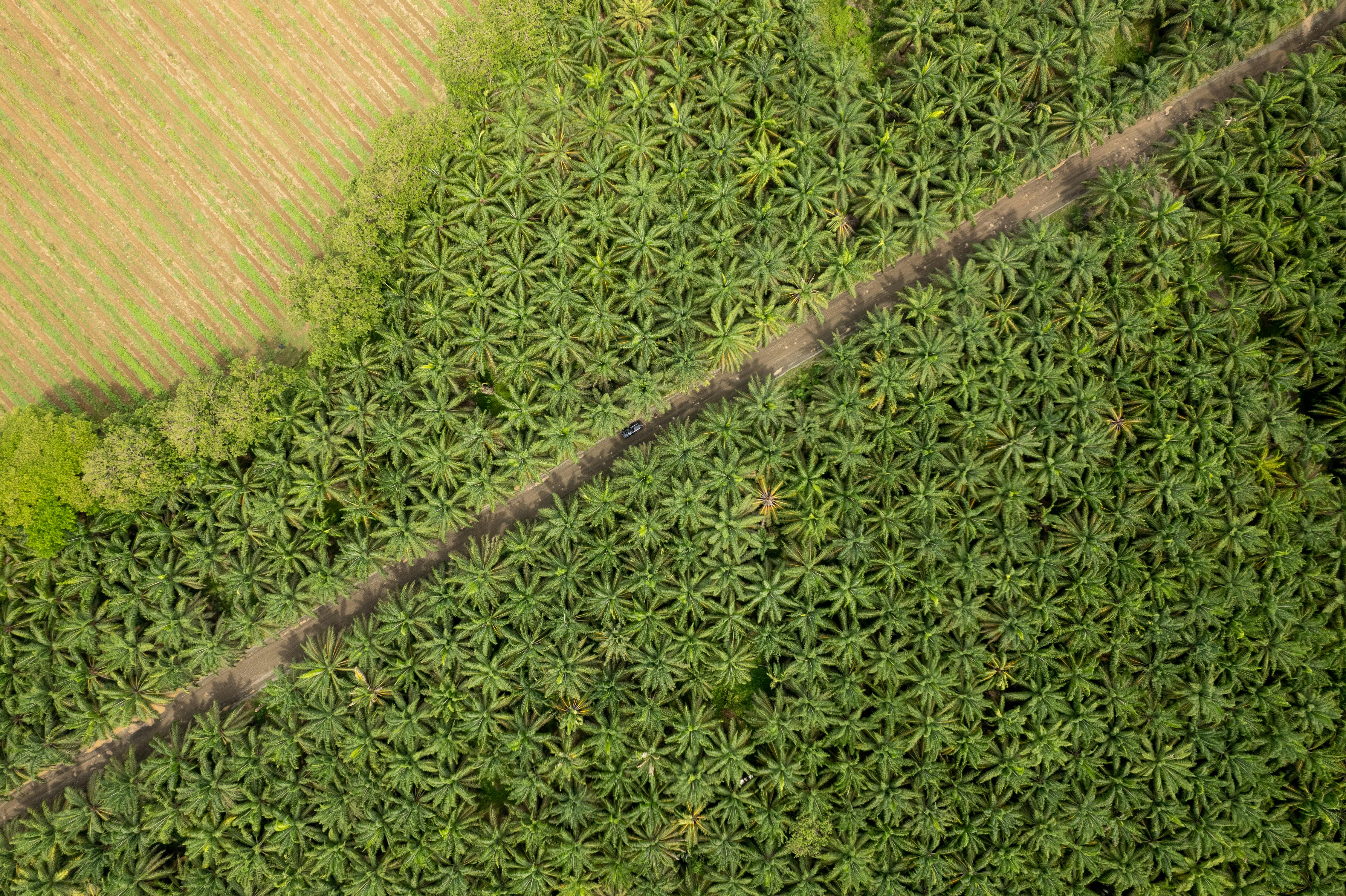 corporate governance esg governance part of esg — Photo by Luis Kuthe on Pexels