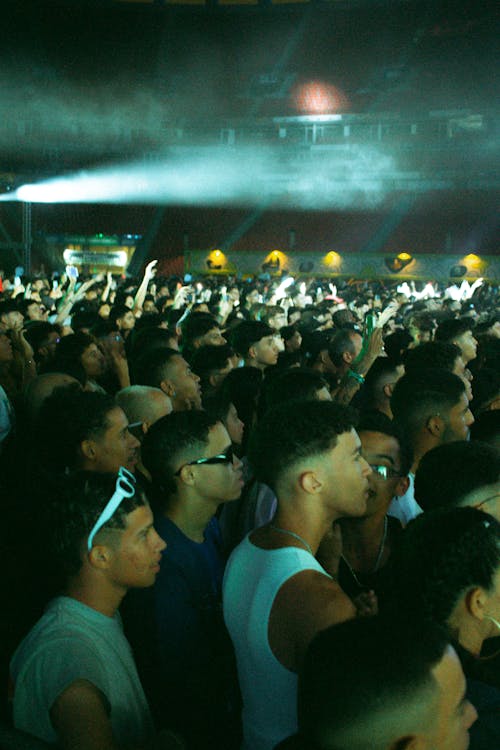 Crowd at a Festival Concert 