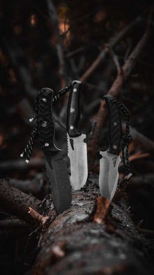 Close-up of Knives Stuck in a Tree Trunk 