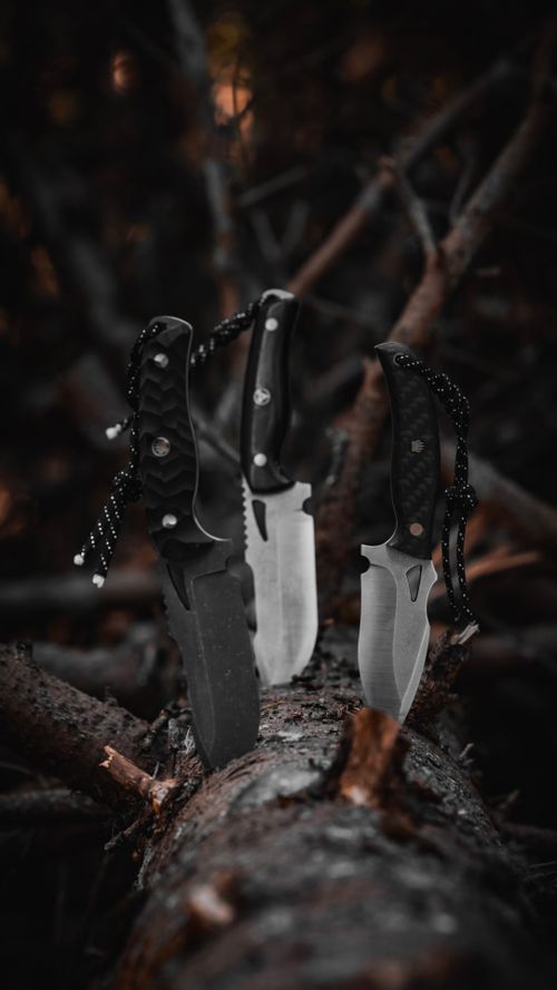 Free Three survival knives embedded in a tree trunk in a forest setting in Bolu, Türkiye. Stock Photo