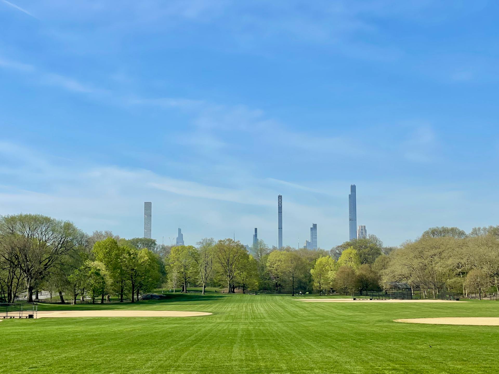 View of Central Park's lush green lawn with the iconic NYC skyline in the background.