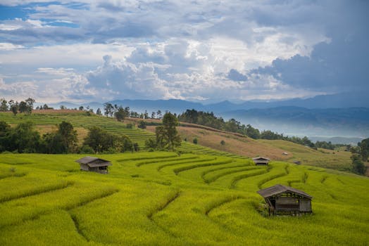 Scenic view of lush green rice terraces with farmhouses in rural Thailand.