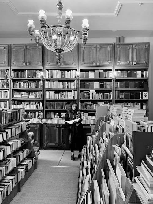 Základová fotografie zdarma na téma černobílý, knihkupectví, knihovna