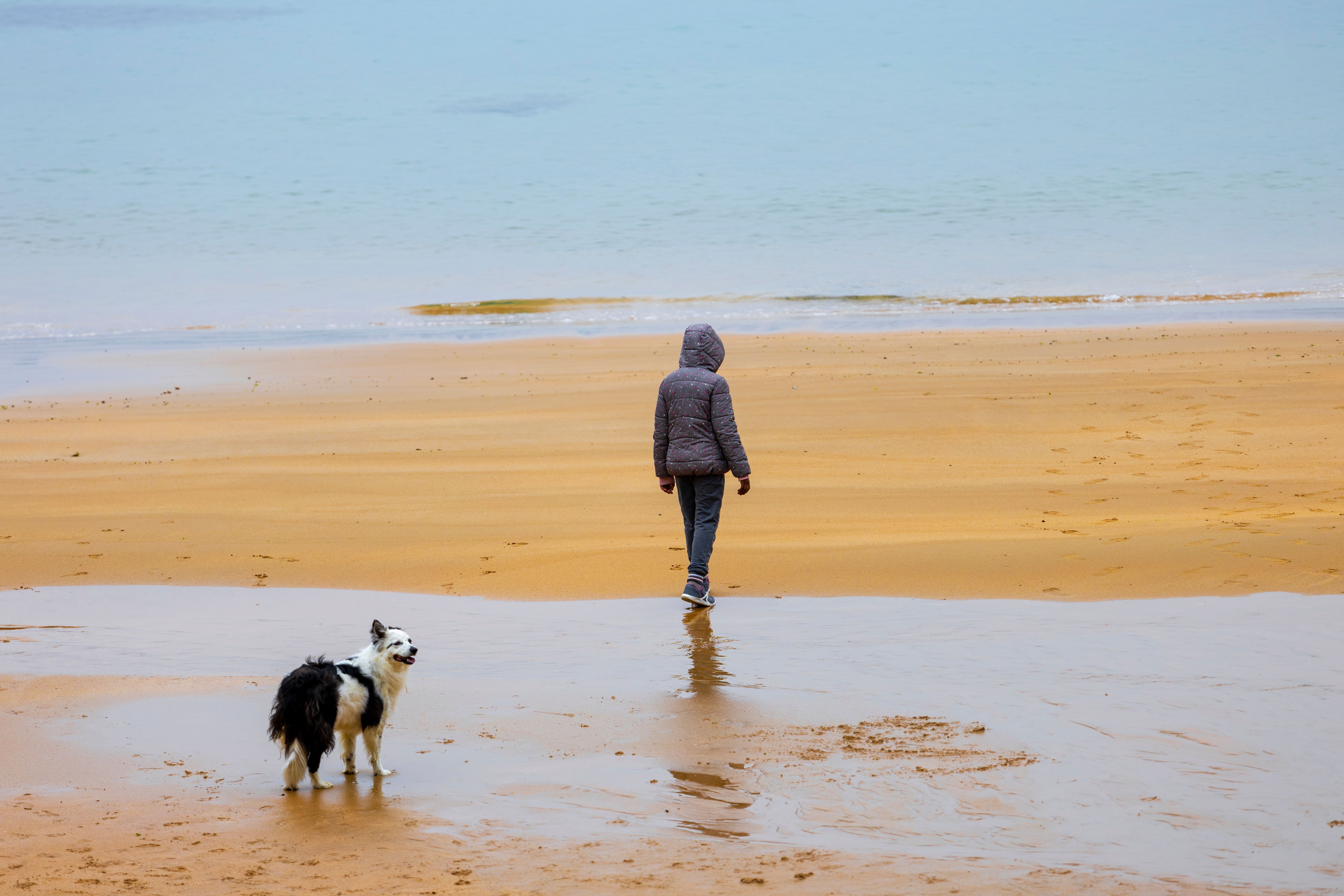 A Woman Walking on a Beach with a Dog · Free Stock Photo