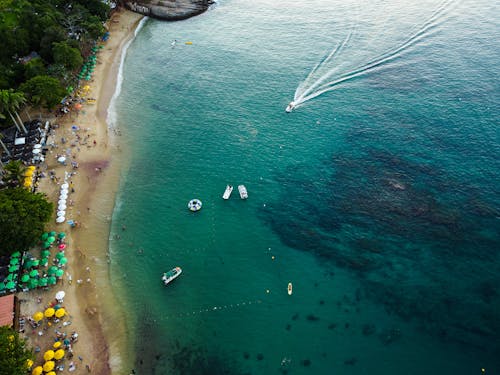 ağaçlar, deniz, drone çekimi içeren Ücretsiz stok fotoğraf