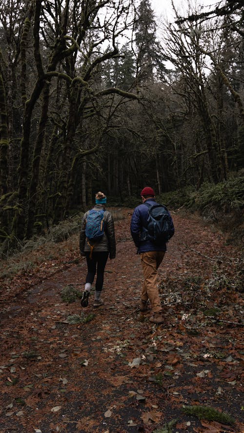 Woman and Man Walking on Footpath in Forest