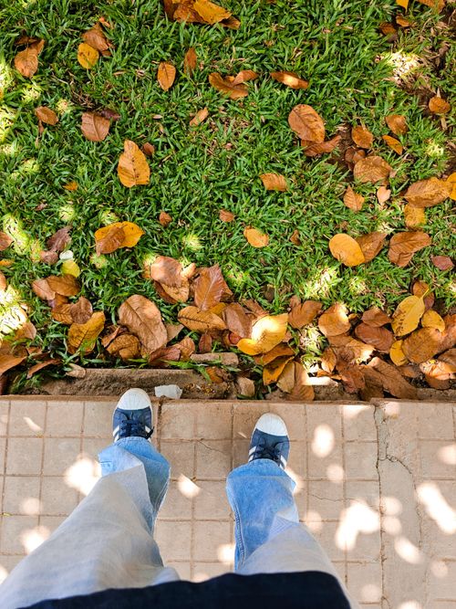 Free A person stands on a sidewalk covered with autumn leaves and sneakers, showcasing fall fashion. Stock Photo