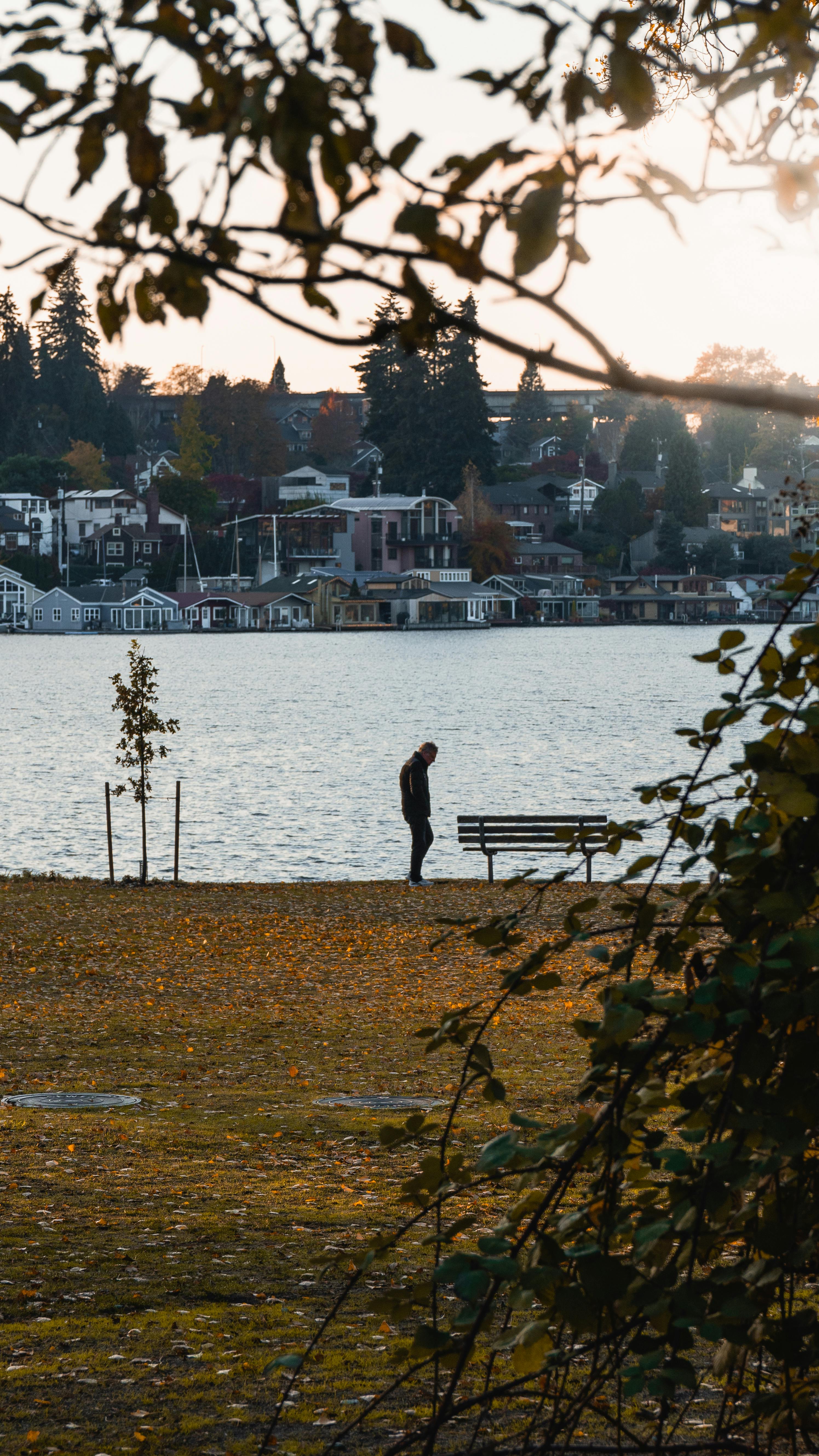 Gratuit Photos gratuites de amérique du nord, après-midi, arbres Photos