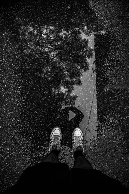 Free Black and white photo of sneakers reflecting in a puddle with shadow and tree. Stock Photo