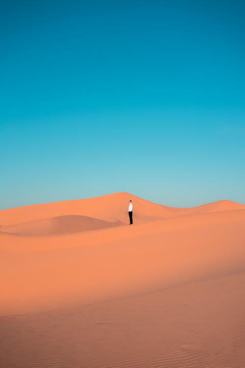 Man Stands in Desert