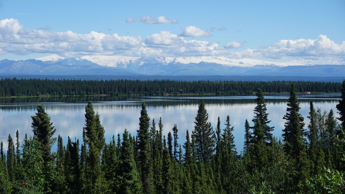 Top Anchorage, AK Restaurant Freebies With No Purchase Necessary: Safe Entry Guide