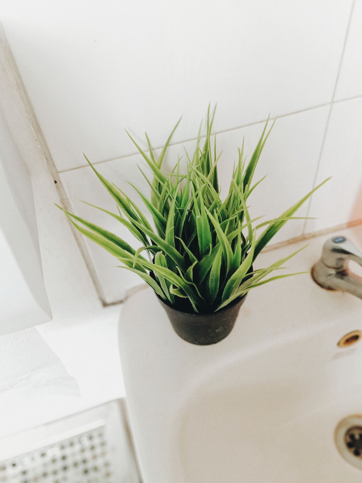A green potted plant adding life to a white bathroom sink area beneath over the toilet shelving
