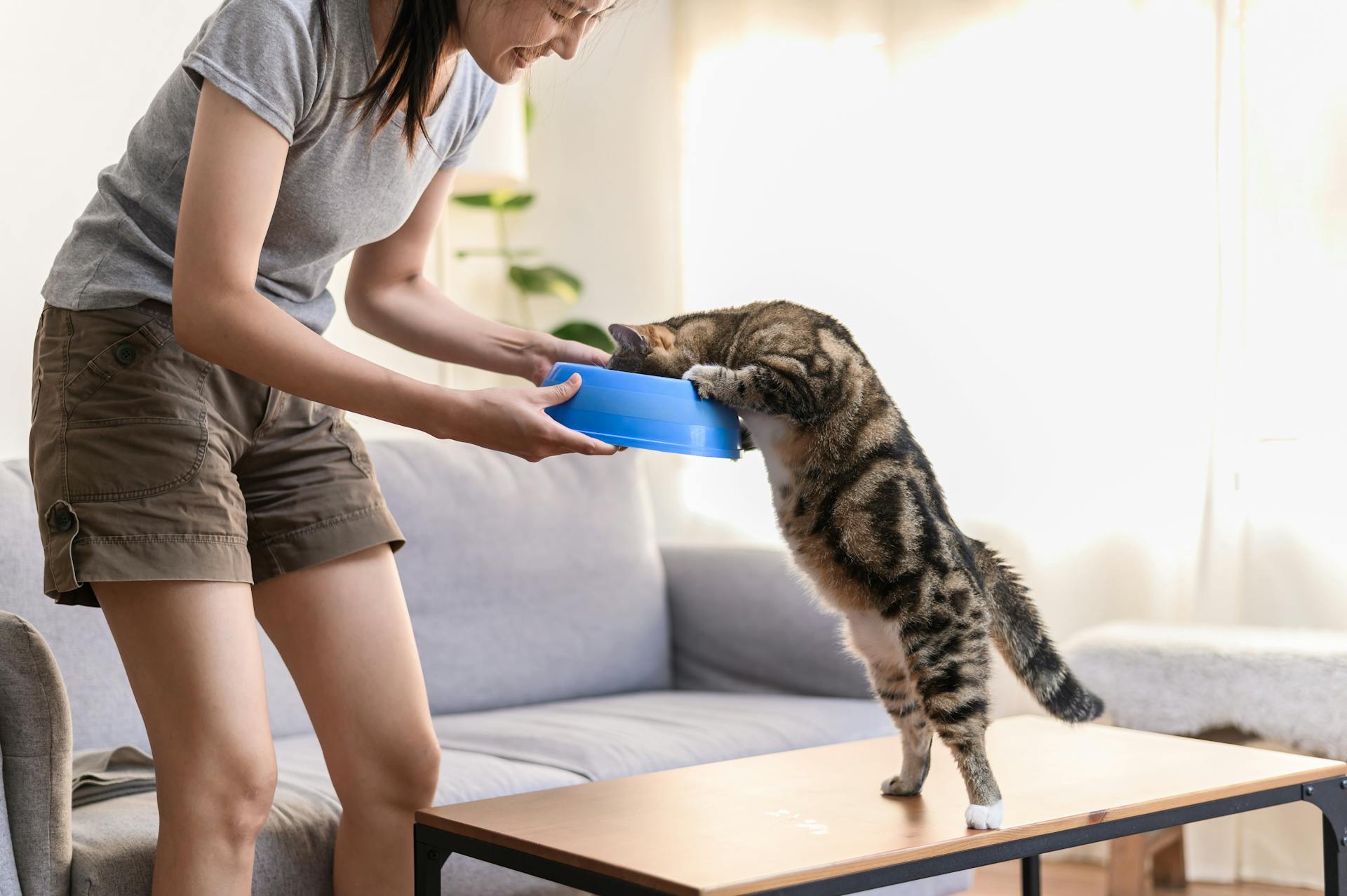 Young Asian woman giving food to cat