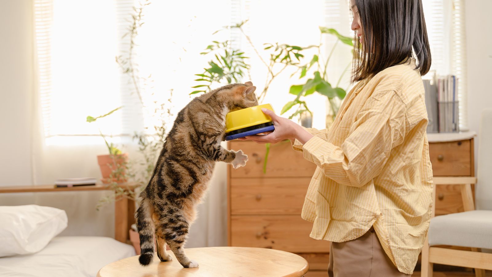 A person holding a food bowl for a cat at home
