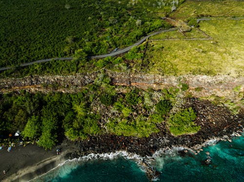 ağaçlar, deniz, deniz kıyısı içeren Ücretsiz stok fotoğraf