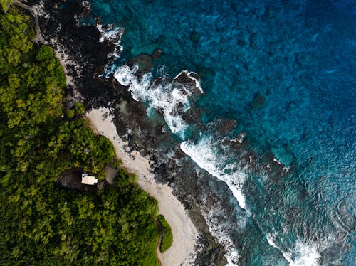 Top View of a Tropical Coast 