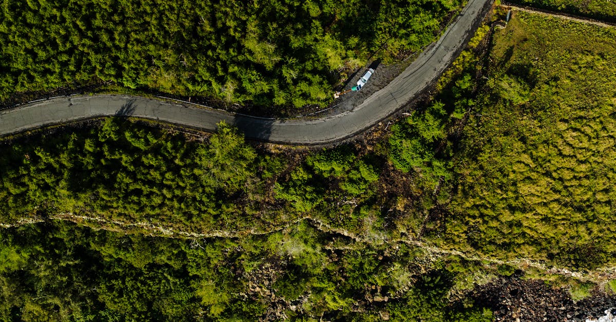 Photo by Josh Withers A stunning aerial view of Honaunau coastline with lush greenery and blue ocean.