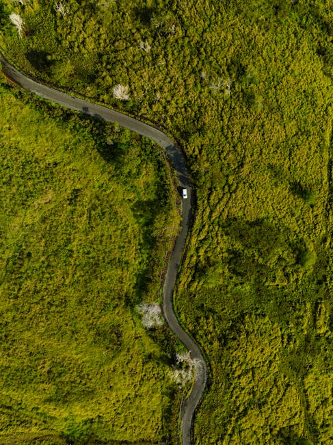Photo by Josh Withers Aerial photo of a winding road cutting through green vegetation in Captain Cook, Hawaii.