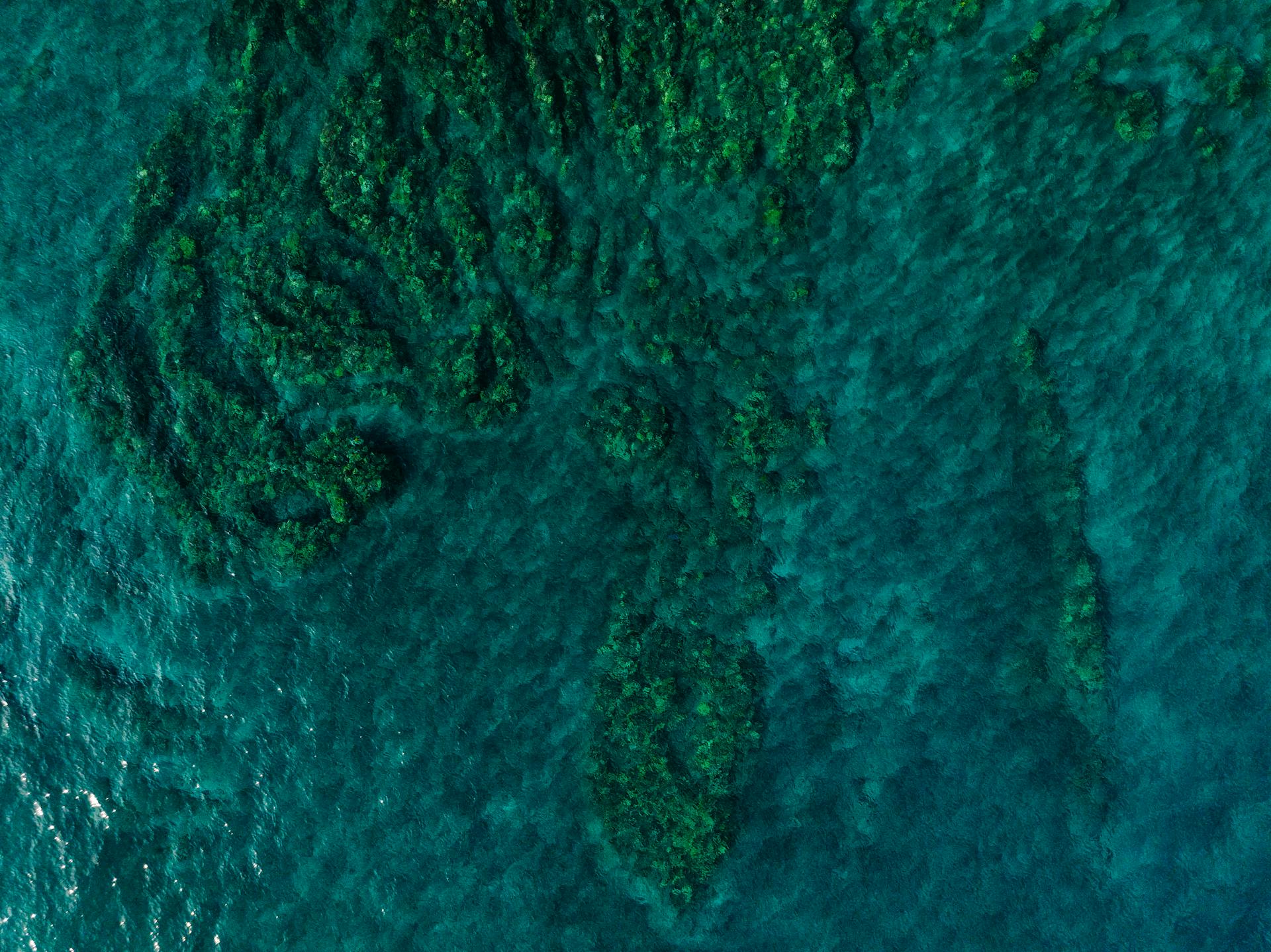 Stunning aerial shot of coral reef in Honaunau Bay, showcasing vibrant blue and green hues.