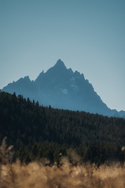 Gratis stockfoto met berg, blauwe lucht, Bos