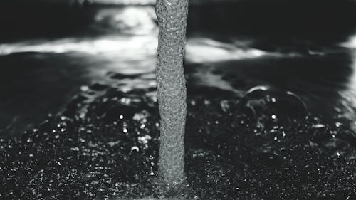 Grayscale Photo of Driftwood Near Seashore