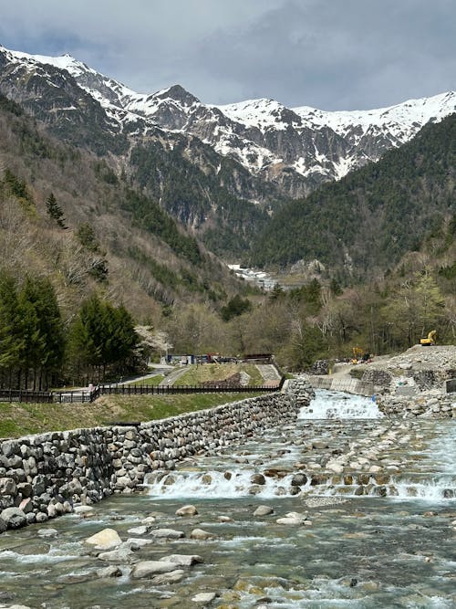 Foto d'estoc gratuïta de bosc, caminant, muntanya nevada