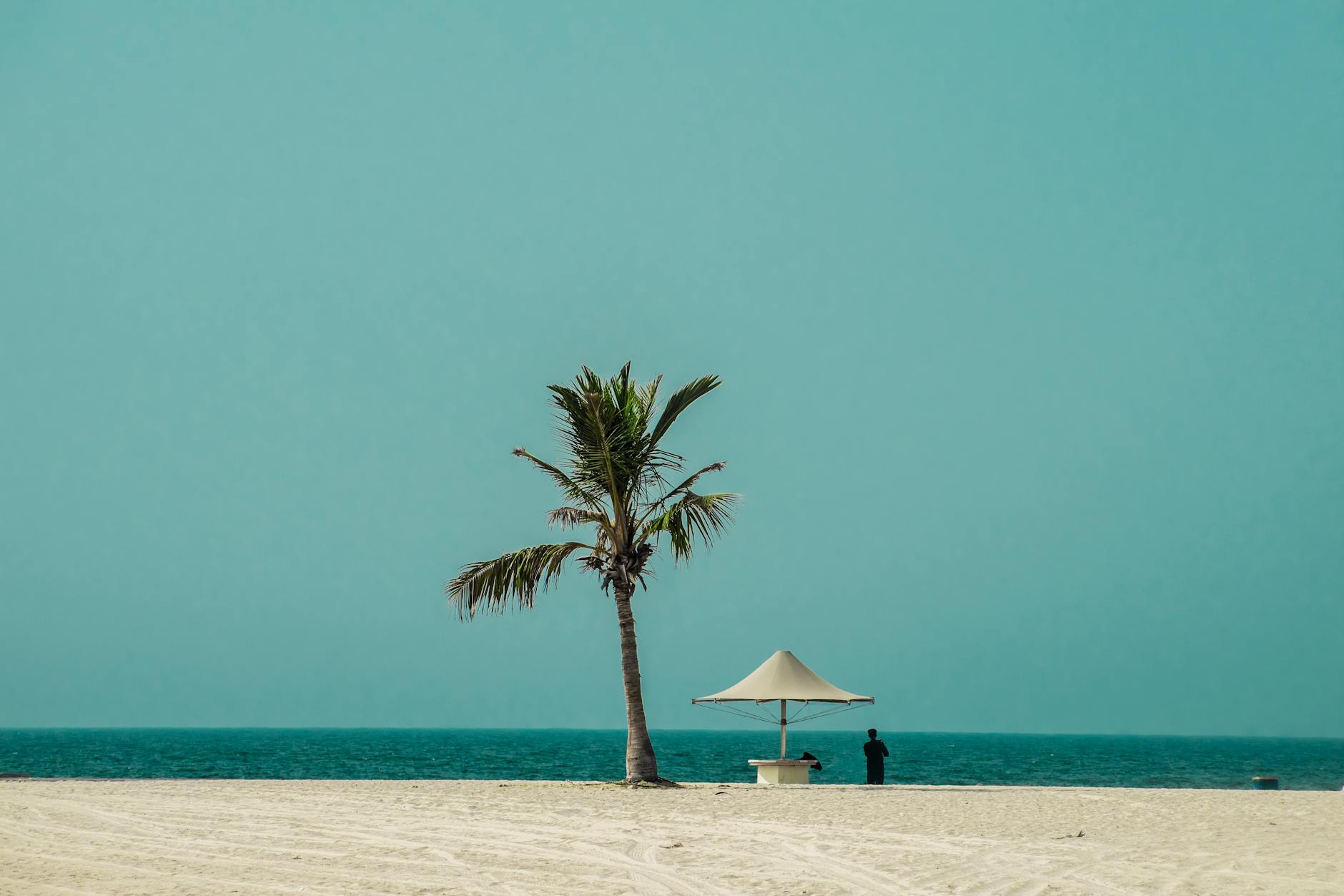 https://www.pexels.com/photo/minimal-background-16600045/