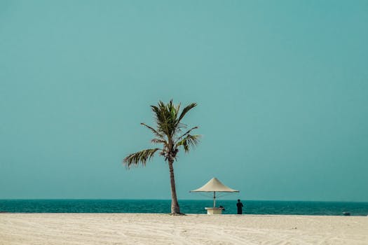 Minimalist beach scene with lone palm tree, azure sky, and ocean view for tranquil backgrounds.