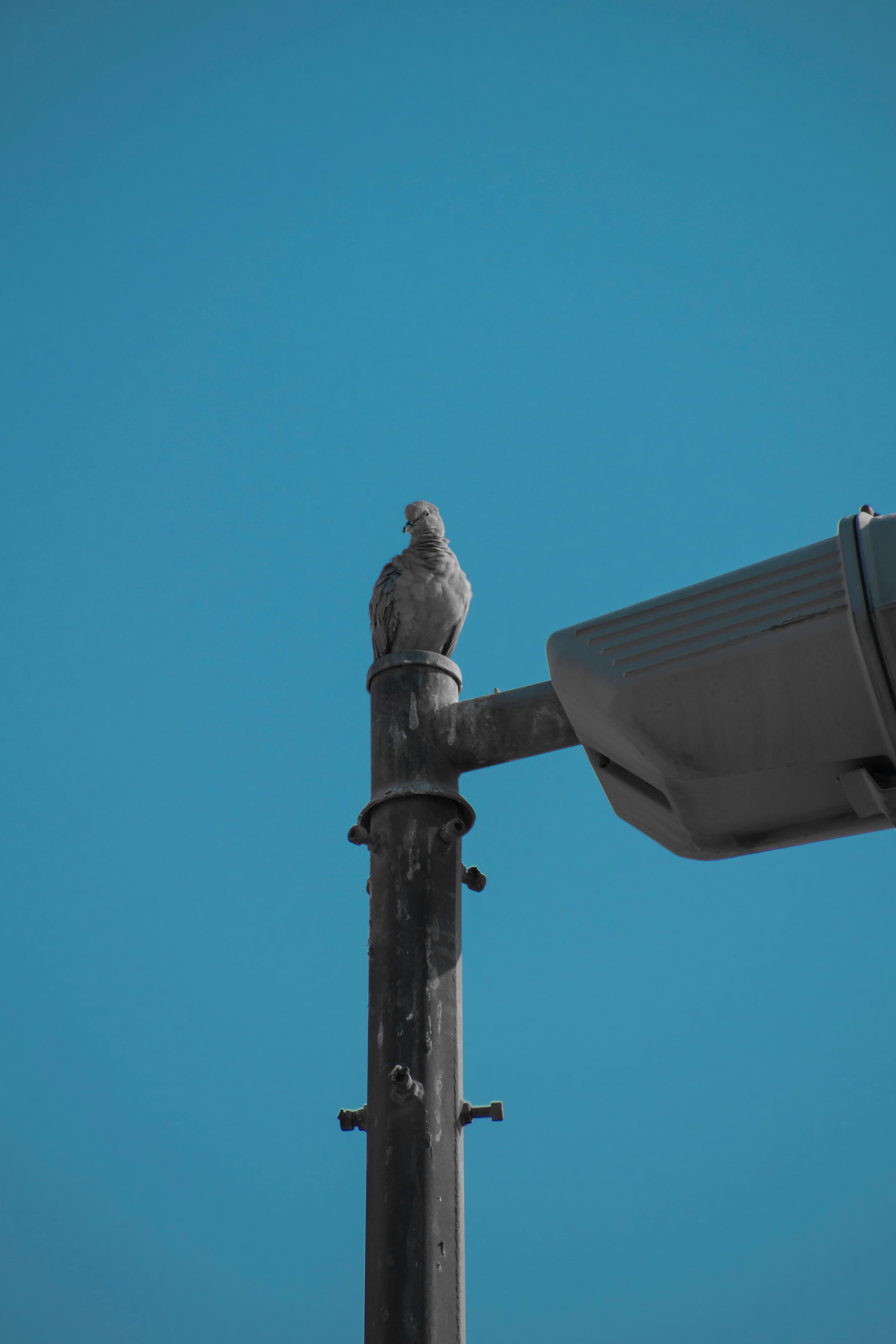 Pole Desktop Wallpaper Photos, Download The BEST Free Pole Desktop