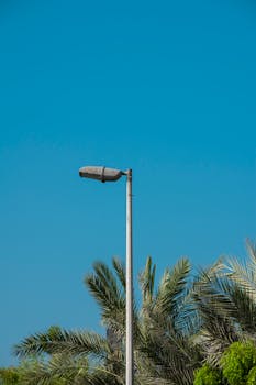 A simple scene with a lamp post set against palm trees under a clear blue sky.