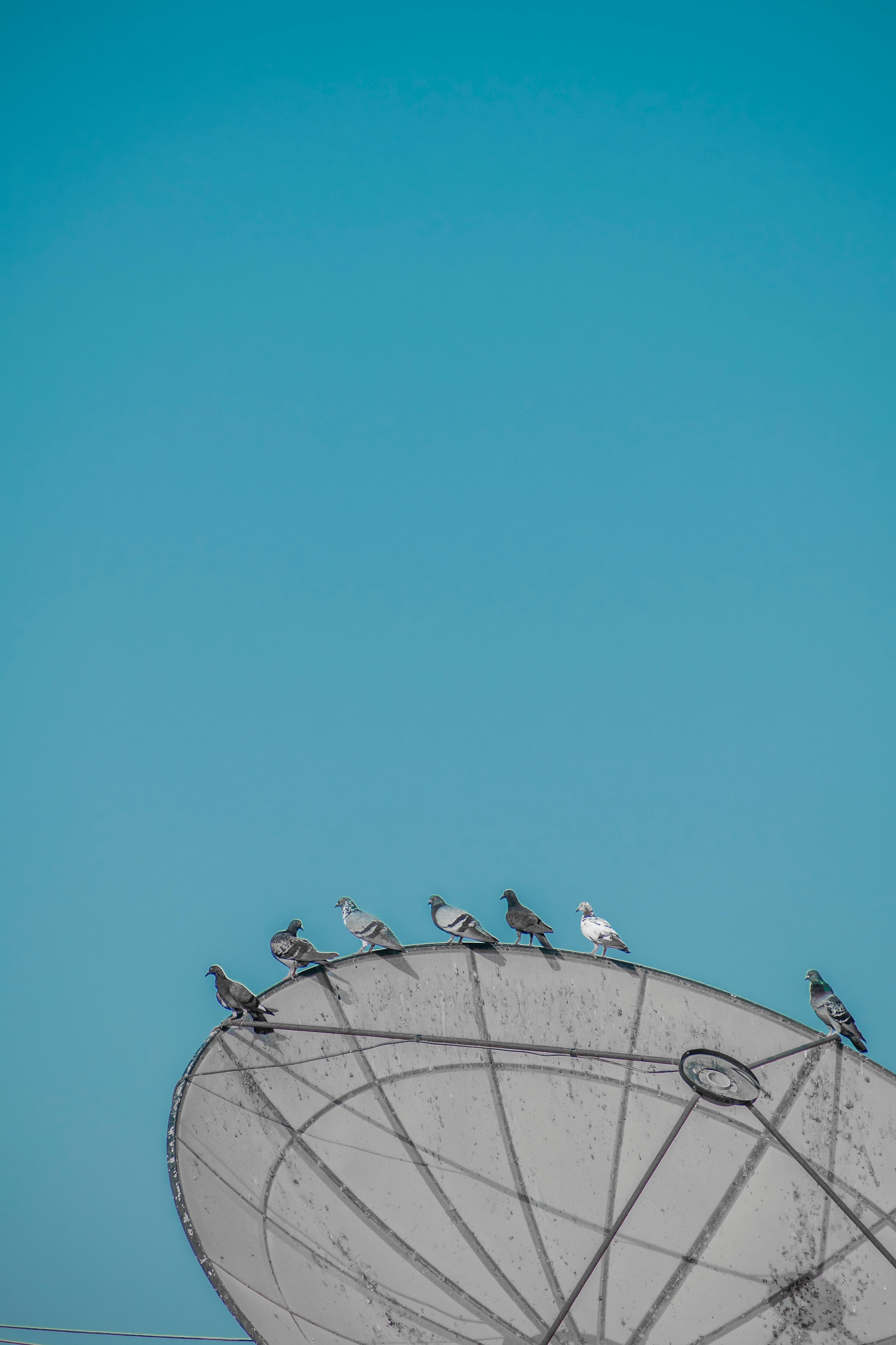 Minimal Background · Free Stock Photo