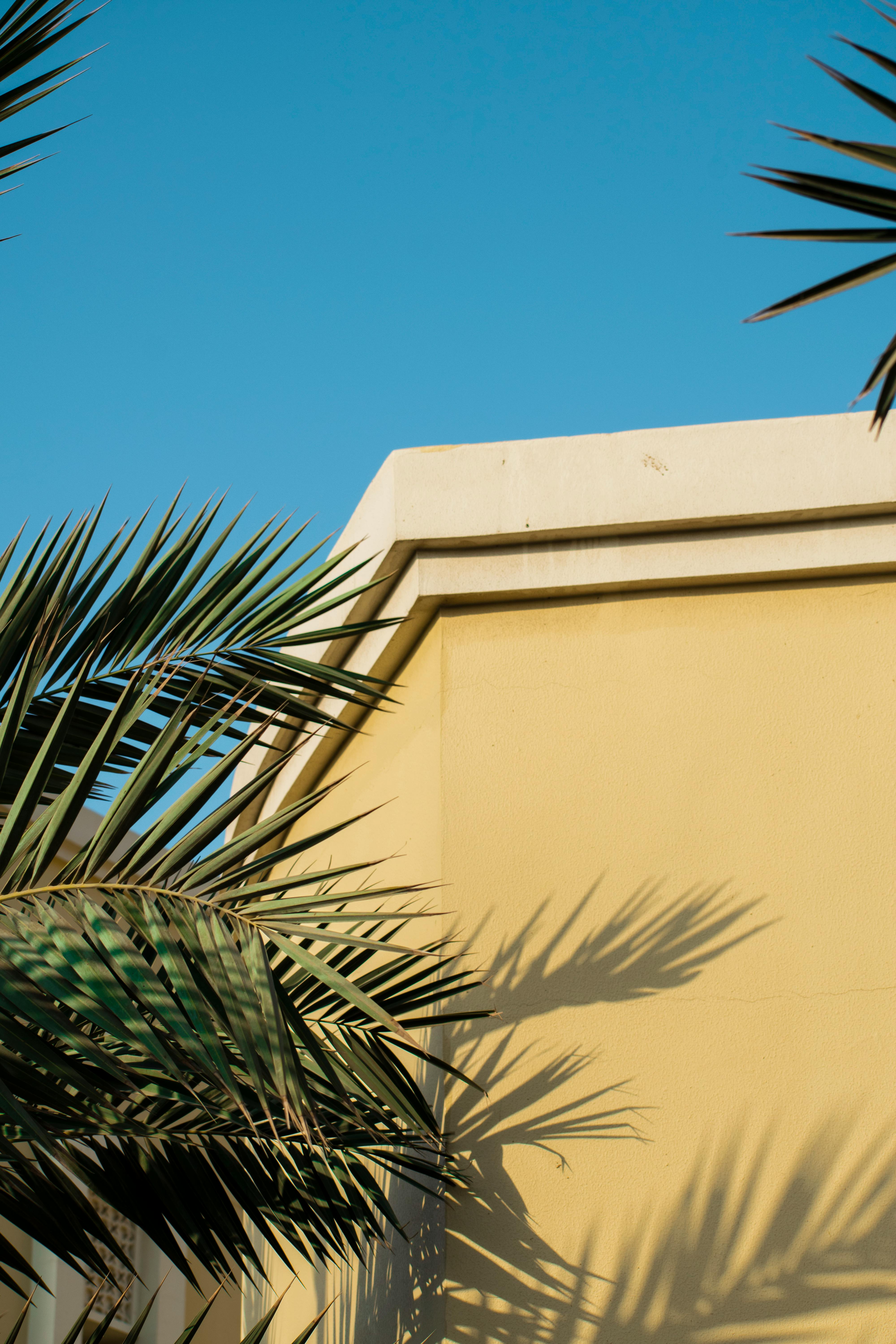 Minimalist yellow building with palm tree shadows, clear blue sky, Dubai.