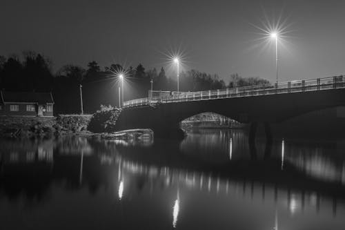 Foto Em Tons De Cinza Da Ponte à Noite